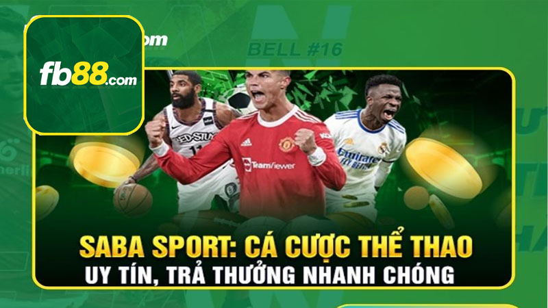 Hướng dẫn bạn cách chơi thể thao FB88 hiệu quả